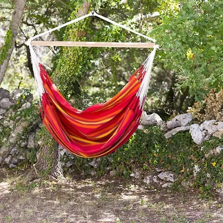Alisa Daire *